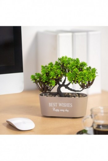 Mûnövény dekoráció - bonsai...