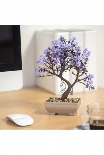 Mûnövény dekoráció - bonsai...