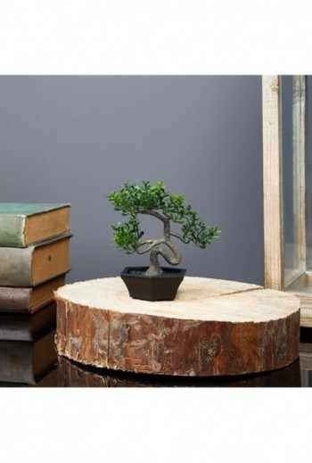 Mûnövény dekoráció - bonsai...