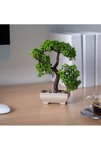 Mûnövény dekoráció - bonsai...