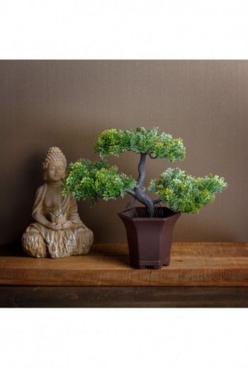 Mûnövény dekoráció - bonsai...