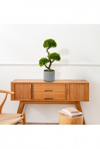 Mûnövény dekoráció - bonsai...