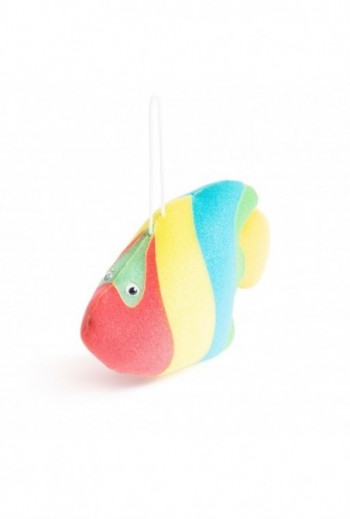 Szivacs - 20 cm - hal