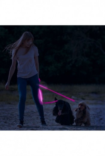 LED-es póráz -...