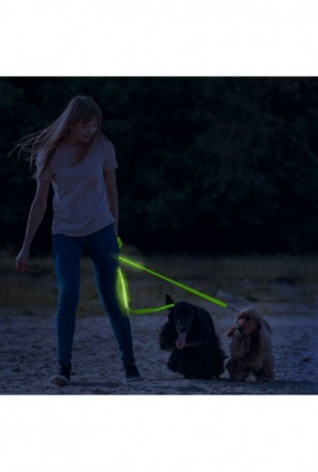 LED-es póráz -...