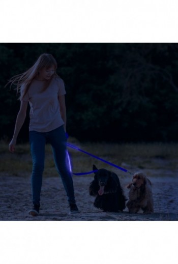 LED-es póráz -...